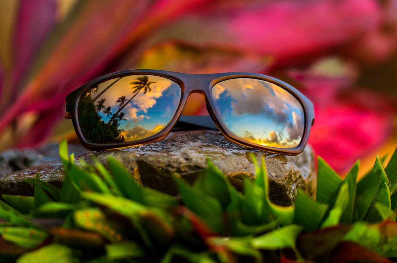 Mont Blanc frames at Vision Palace Optical Brooklyn